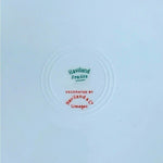 Vintage HAVILAND LIMOGES France Autumn Leaf Dinner Plate 9.75" Porcelain NWOT