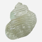 Clear Glass Seashell Paperweight Collectible Coastal Decor Art Figurine 4" Good